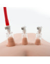 Pompka do łechtaczki Temptasia Clitoris Pleasure System - Sklep erotyczny Intymnosc24.pl