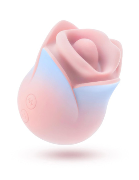 BLUSH COLLECTION KISSING ROSE PINK