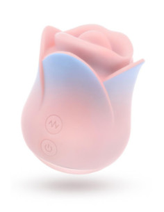 BLUSH COLLECTION KISSING ROSE PINK 2