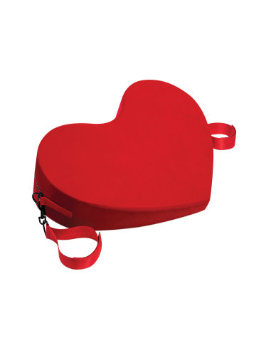 WHIPSMART HEART CUSHION