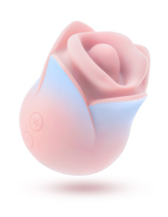 BLUSH COLLECTION KISSING ROSE PINK