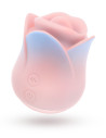 BLUSH COLLECTION KISSING ROSE PINK