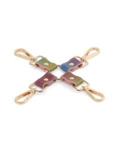 SPECTRA BONDAGE HOGTIE RAINBOW