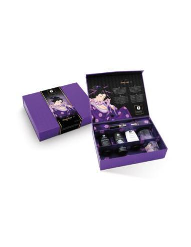 SHUNGA NAUGHTIER KIT