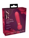 SECRET KISSES ROSEGASM LUSH BLISS BULLET