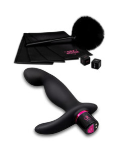 SEX ROOM PROSTATE PLAY KIT