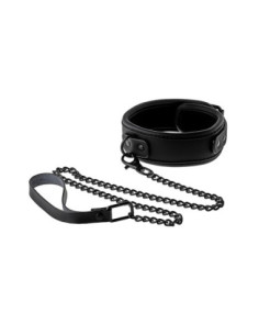 BLAZE COLLAR AND LEASH BLACK 2