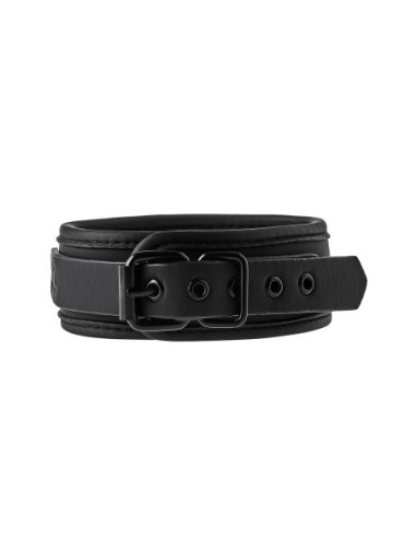 BLAZE COLLAR AND LEASH BLACK