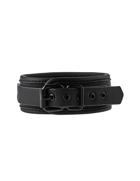 BLAZE COLLAR AND LEASH BLACK