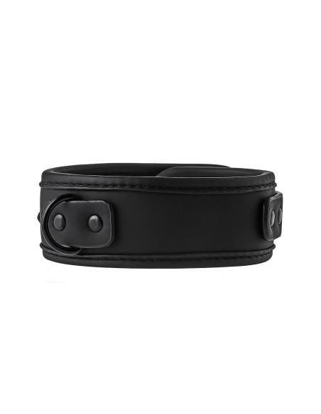 BLAZE COLLAR AND LEASH BLACK