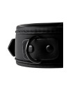 BLAZE COLLAR AND LEASH BLACK