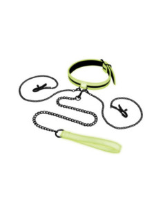 WHIPSMART GLOW IN THE DARK COLLAR WITH NIPPLE CLIPS AND LEASH