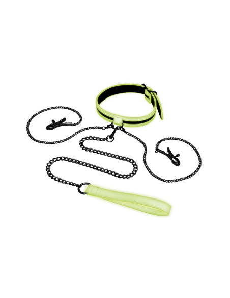 WHIPSMART GLOW IN THE DARK COLLAR WITH NIPPLE CLIPS AND LEASH