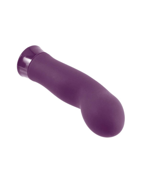NMC 5 INCH RECHARGEABLE SILICONE 10 FUNCTIONS SPEED VIBRATOR PURPLE