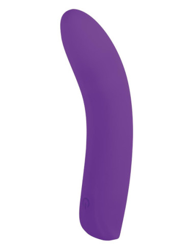 NMC 5 INCH SILICONE 10 FUNCTION VIBRATOR PURPLE