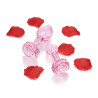 B-VIBE PINK ROSES GLASS BUTT PLUG TRAINING SET
