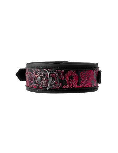 BLAZE DELUXE COLLAR & LEASH
