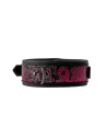 BLAZE DELUXE COLLAR & LEASH