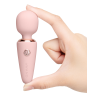 LE WAND MINI MICRO WAND RG