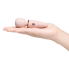 LE WAND MINI MICRO WAND RG