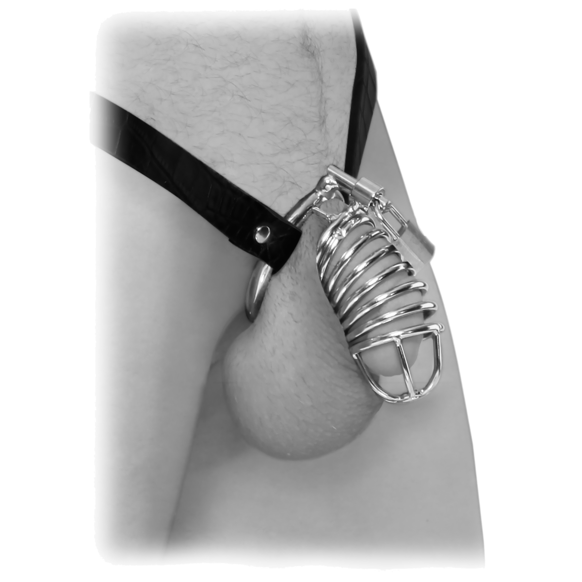 FETISH FANTASY EXTREME EXTREME CHASTITY BELT SILVER