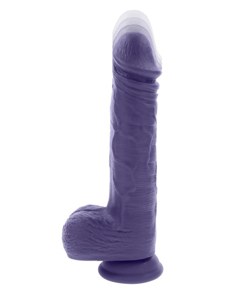 EVOLVED PLEASURE RIDER