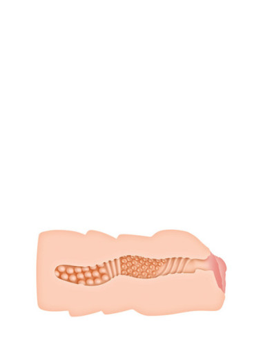 Realistyczny masturbator Vagina Zero Tolerance Tori Black