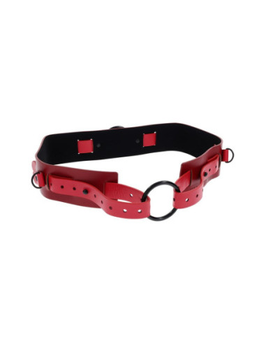 SPORTSHEETS EXS AND OHS BOUND AND BELTED