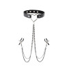 Zaciski SportSheets SM Amor Collar with Nipple Jewelry - Sklep erotyczny Intymnosc24.pl