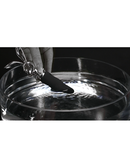 PLAYBOY BUNNY ON THE GO