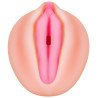 Masturbator Zero Tolerance Alexis Texas Realistic Vagina Stroker - Sklep erotyczny Intymnosc24.pl