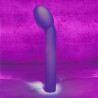 Fioletowy wibrator Evolved Sweet Spot - Sklep erotyczny Intymnosc24.pl