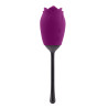 PLAYBOY PETAL