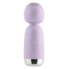 PLAYBOY ROYAL MINI