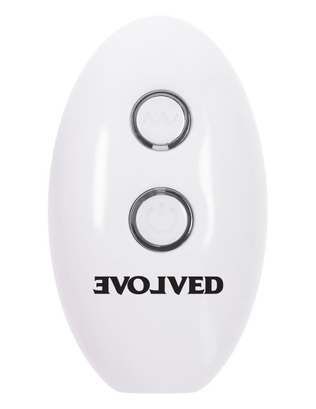 EVOLVED PARADISE PANTY