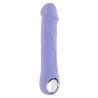 EVOLVED PURPLE FANTASY
