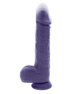 EVOLVED PLEASURE RIDER 2