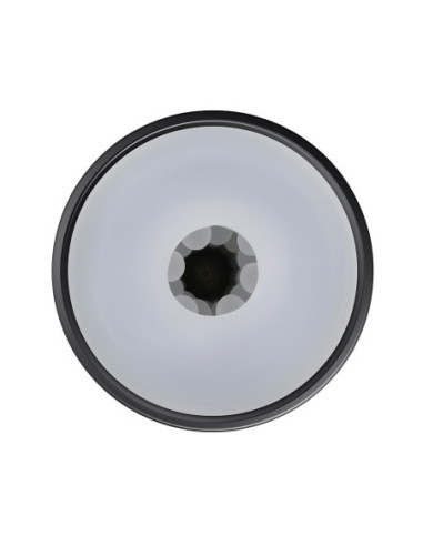 PLAYBOY THE URGE LARGE