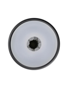 PLAYBOY THE URGE MEDIUM 2