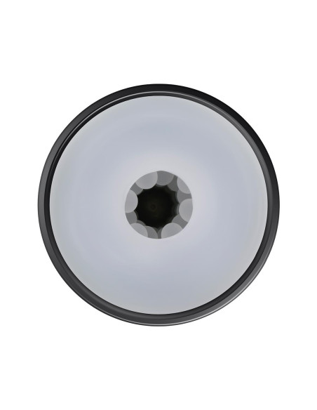 PLAYBOY THE URGE MEDIUM