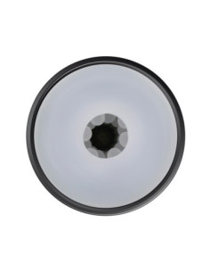 PLAYBOY THE URGE SMALL 2