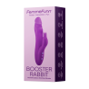 Wibrator FemmeFunn Booster Rabbit - Sklep erotyczny Intymnosc24.pl