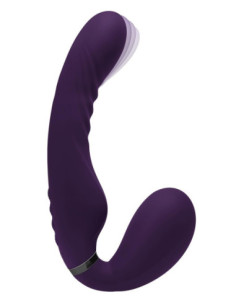 EVOLVED SHARE THE LOVE 2