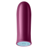 Ciemno fioletowy bezprzewodowy zdalny wibrator Bullet Versa FemmeFunn with S Sleeve - Sklep erotyczny Intymnosc24.pl