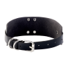 KINKY DIVA O-RING COLLAR BLACK/SILVER - Sklep erotyczny Intymnosc24.pl