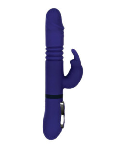 GENDER X ALL IN ONE 2