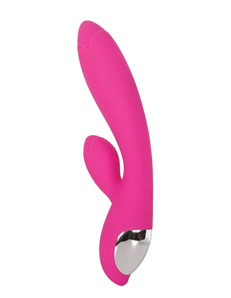 EVOLVED TANTALIZING TULIP PINK