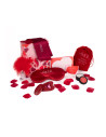 AMOUR THE SECRETS OF LOVE PANTY PLAY KIT
