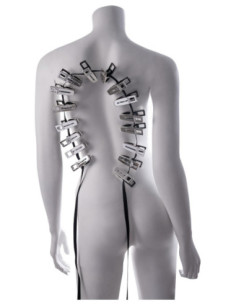 SPORTSHEETS EDGE BODY ZIPPER CLOTHES PINS 2