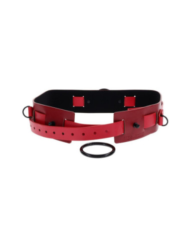 SPORTSHEETS EXS AND OHS BOUND AND BELTED